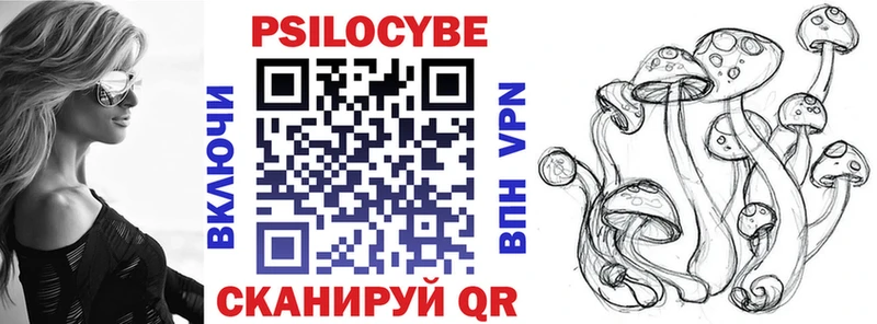 Галлюциногенные грибы мицелий  Черняховск 