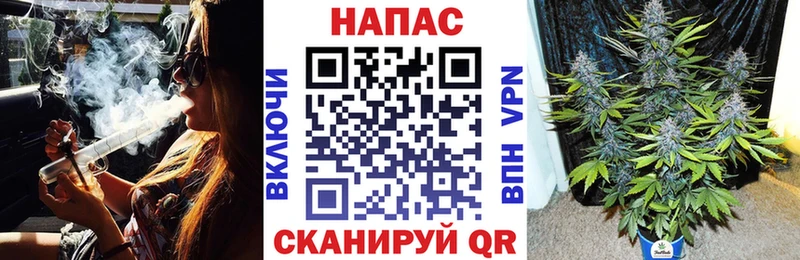 Каннабис SATIVA & INDICA  Черняховск 